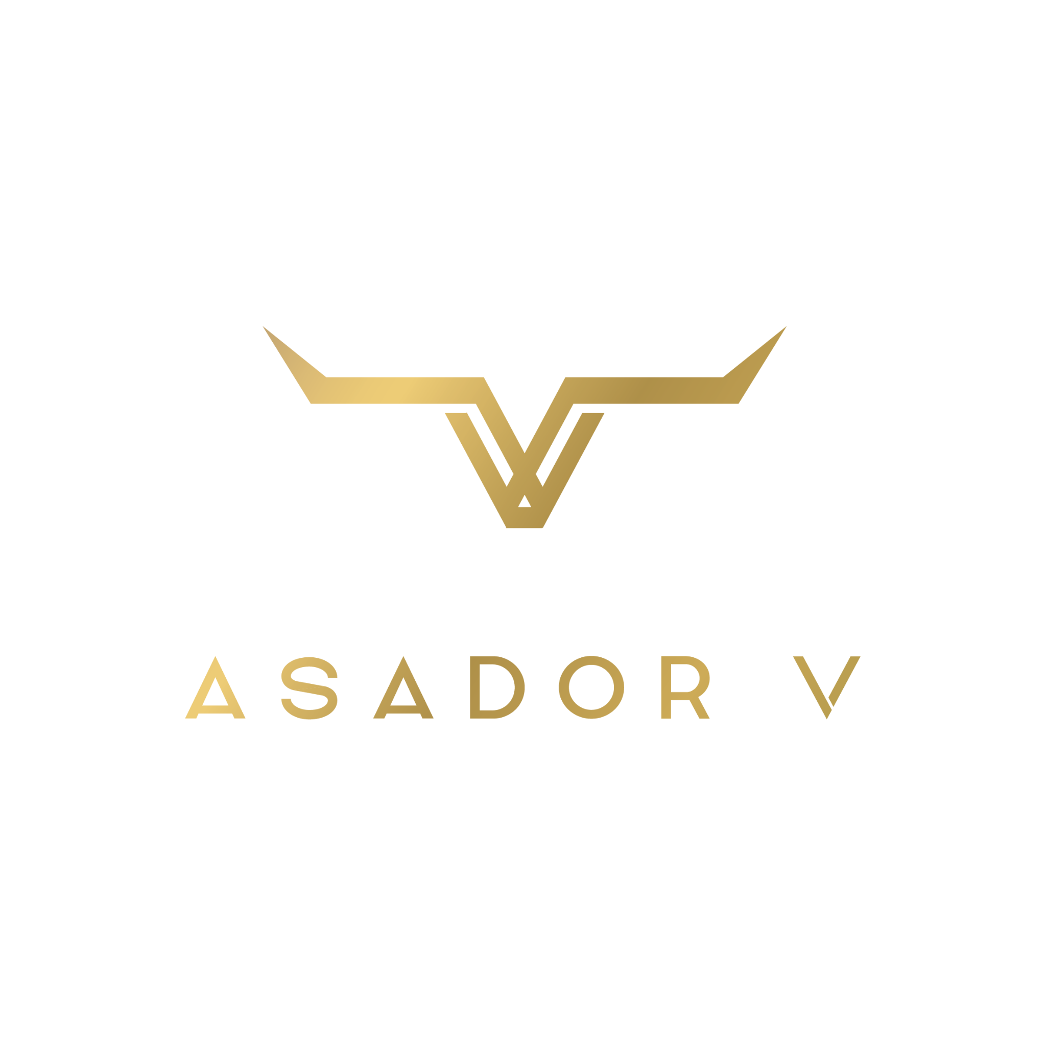 Asador V
